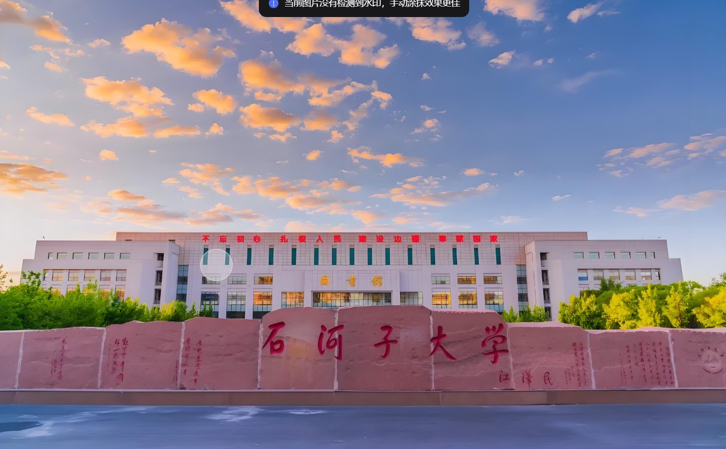 石河子大学